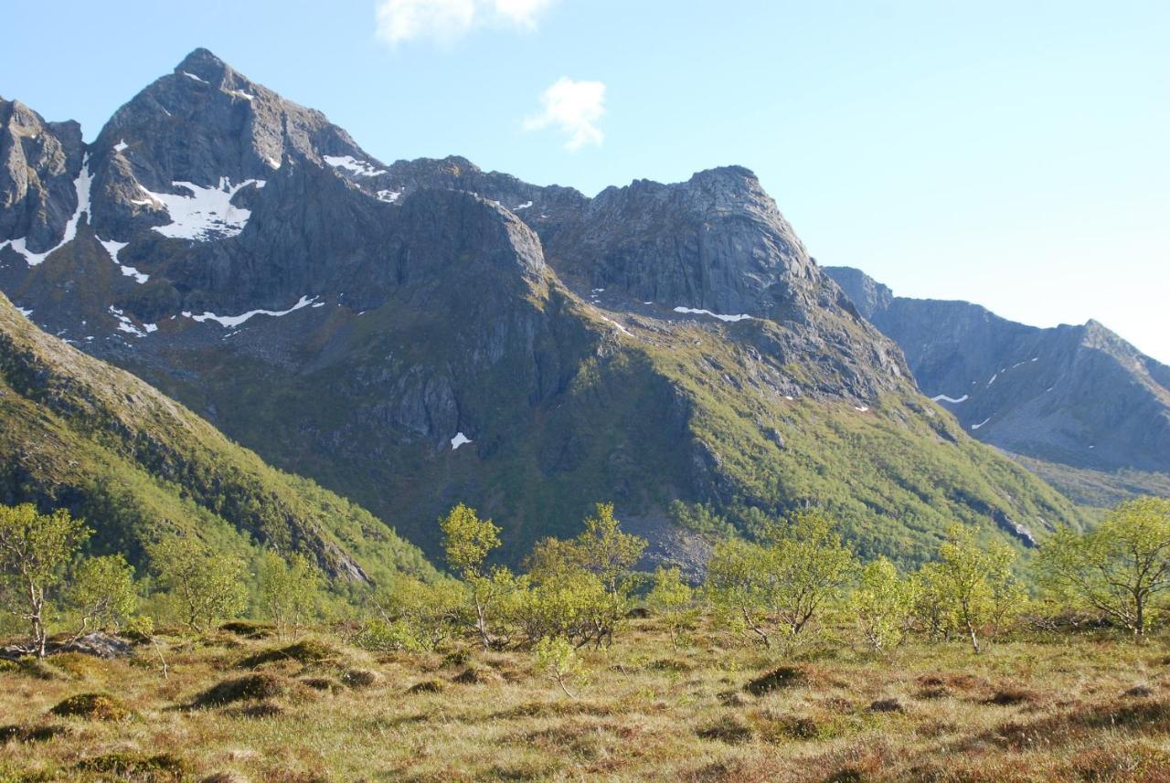 Haugteig Villa Lyngvaeret Luaran gambar