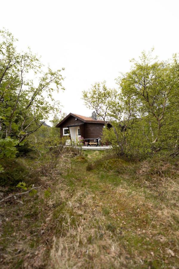 Haugteig Villa Lyngvaeret Luaran gambar