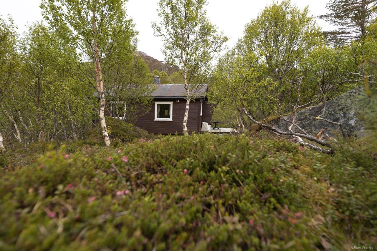 Haugteig Villa Lyngvaeret Luaran gambar
