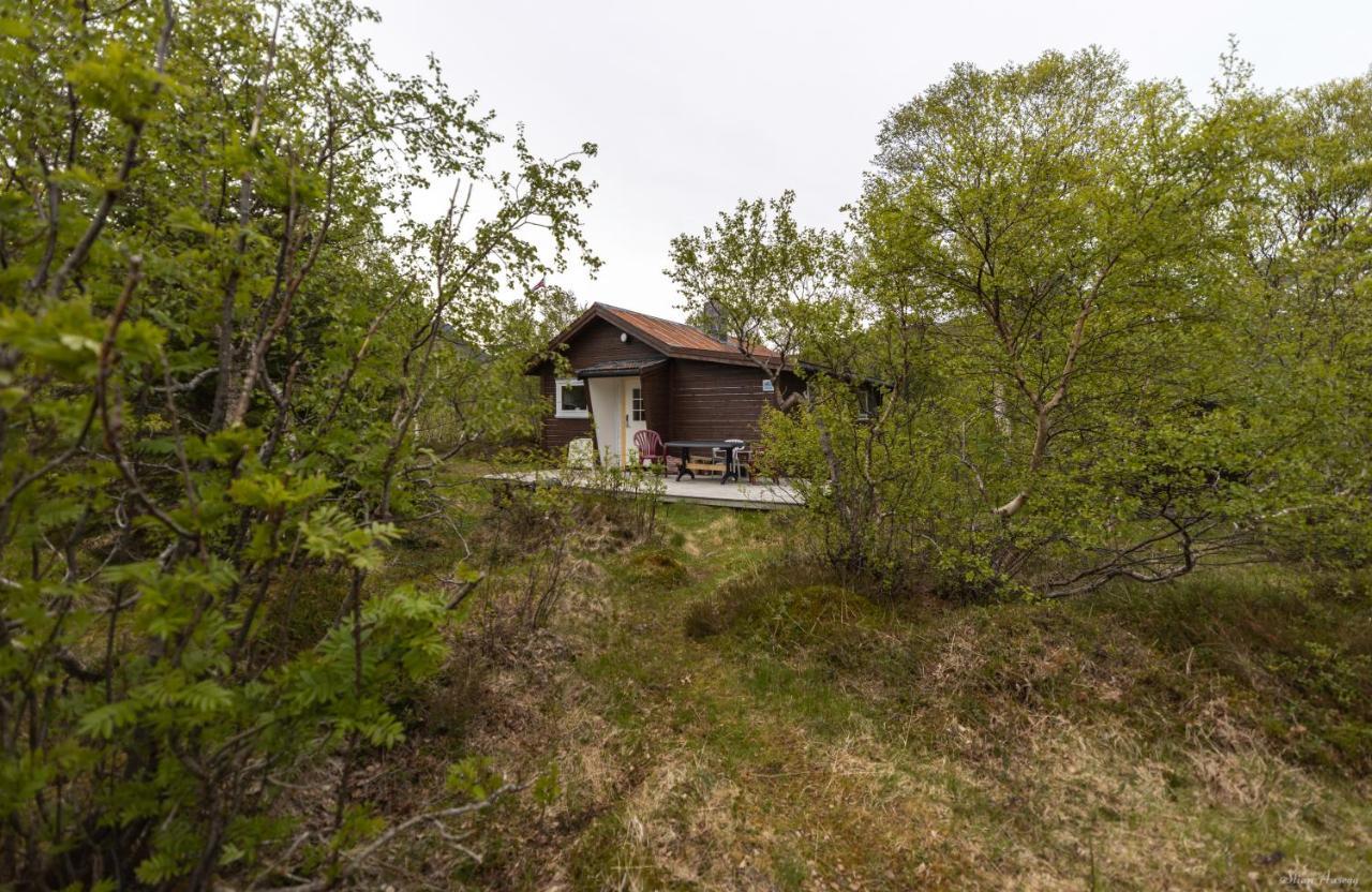 Haugteig Villa Lyngvaeret Luaran gambar